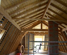image10.jpg